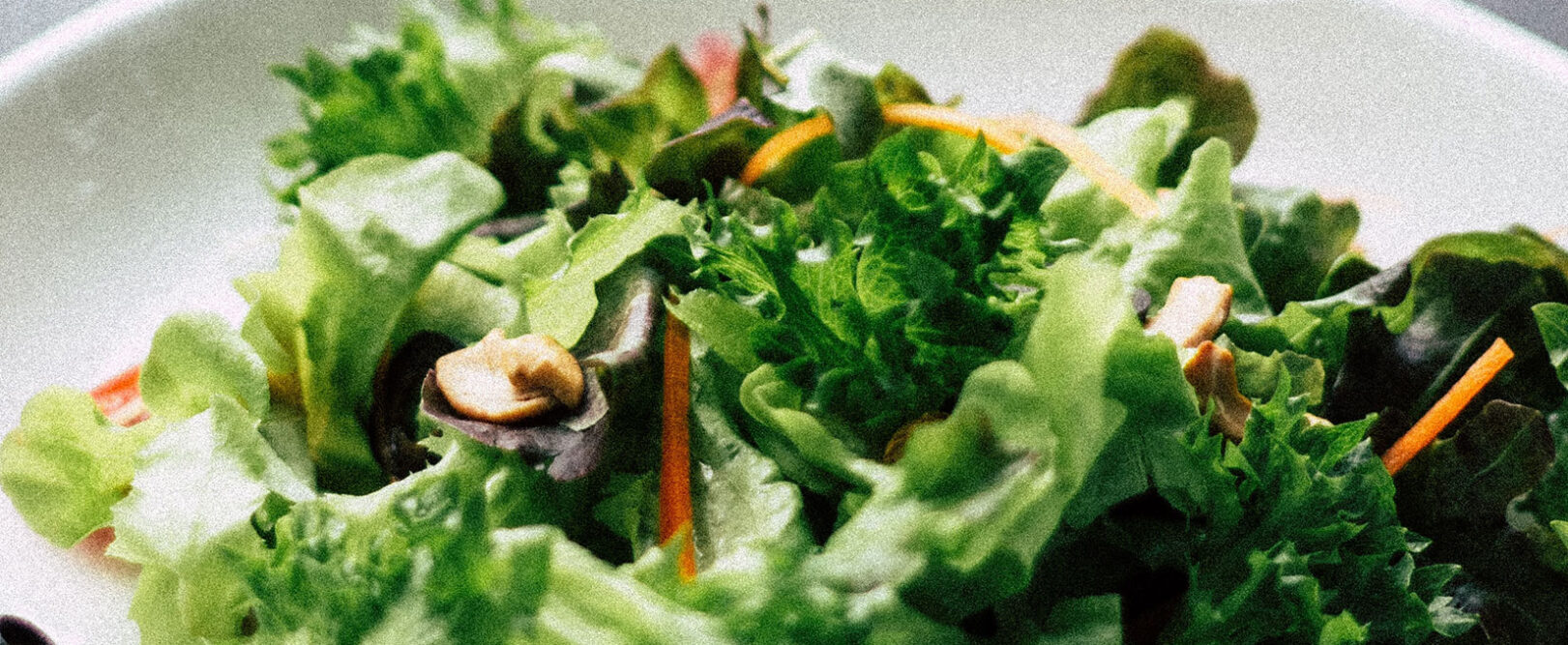 Basilico Basilico
