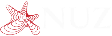 nuz logo