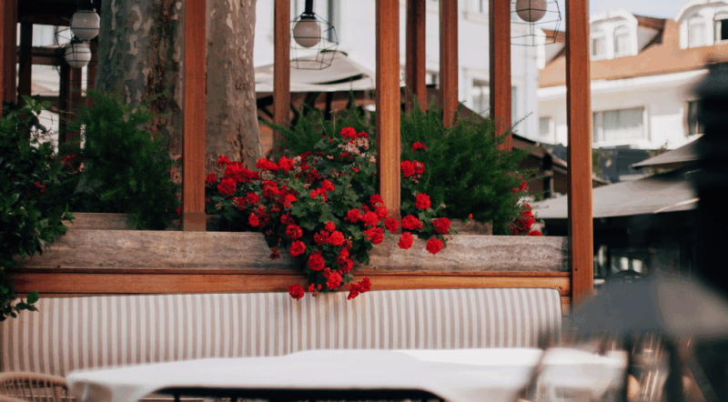 secret garden in sultanahmet