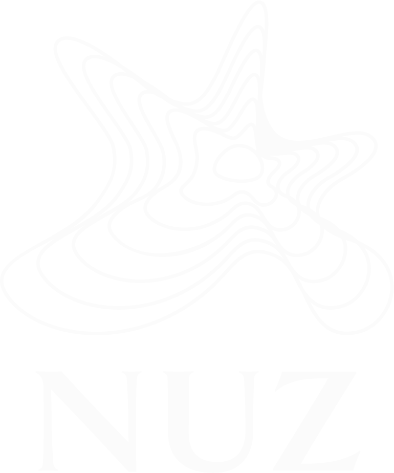 nuz logo